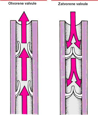 Venax